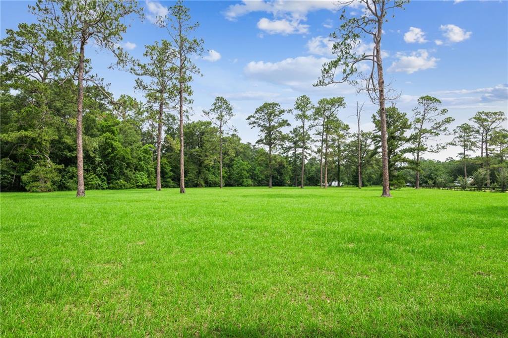 Lot 2 Hwy 435 Highway, Abita Springs, Louisiana image 7