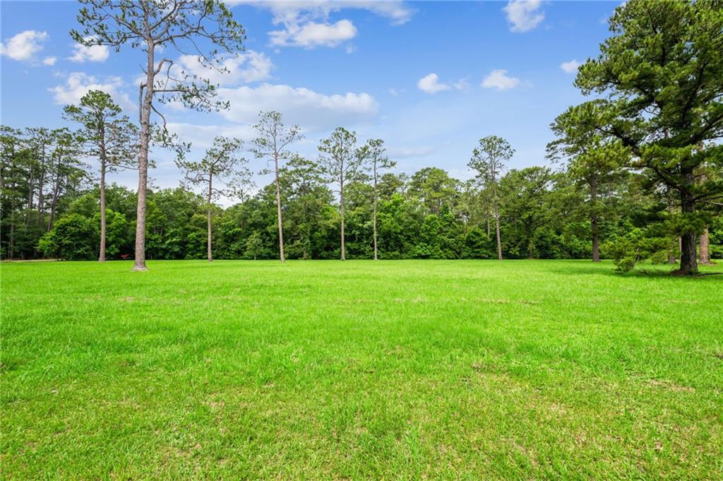 Lot 2 Hwy 435 Highway, Abita Springs, Louisiana image 8
