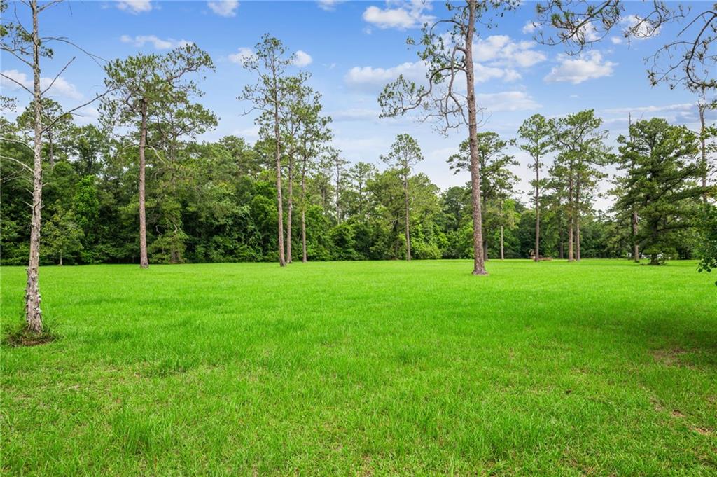 Lot 2 Hwy 435 Highway, Abita Springs, Louisiana image 9