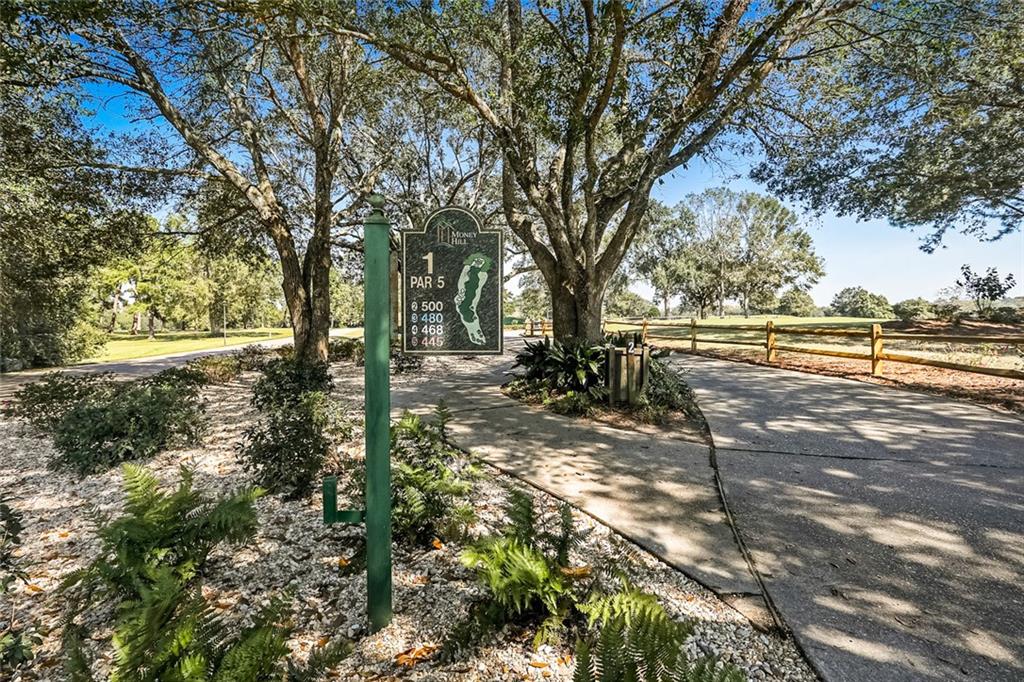 Lot 452 Chinawood Drive, Abita Springs, Louisiana image 11