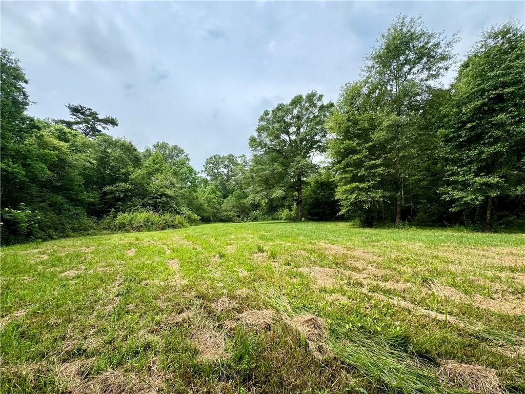 19047 Hwy 450, Franklinton, Louisiana image 7