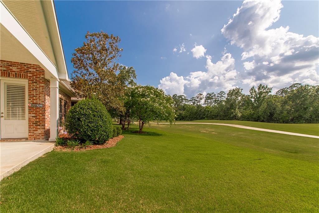 23783 Monarch Point, Springfield, Louisiana image 25
