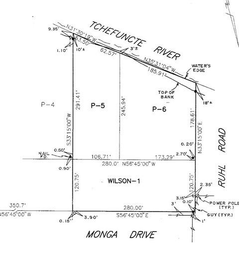 Monga Drive, Covington, Louisiana image 2
