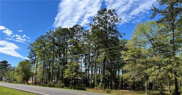 Hwy 1088 Highway, Mandeville, Louisiana image 1