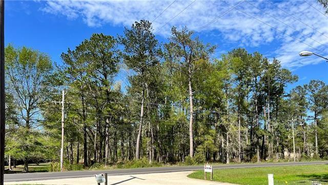 Hwy 1088 Highway, Mandeville, Louisiana image 3