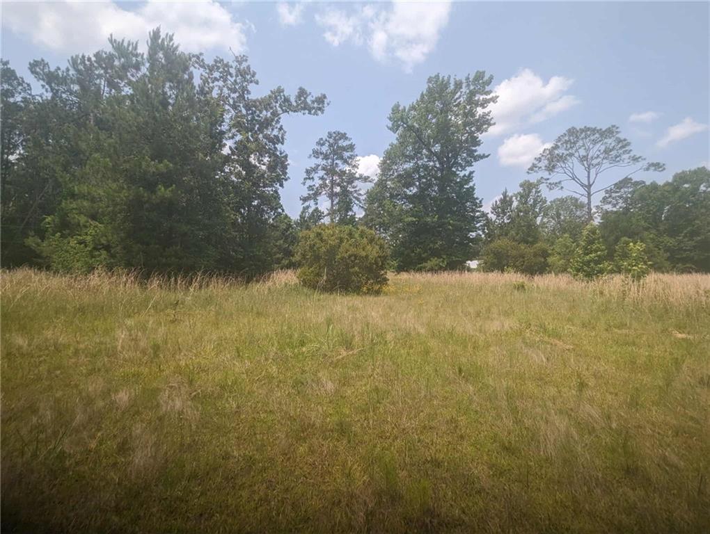 83582 Holliday Road, Folsom, Louisiana image 2