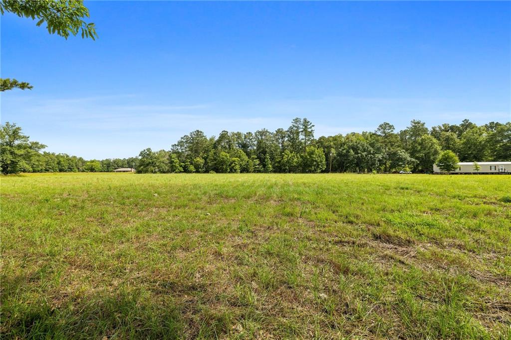 30235 George White Road, Holden, Louisiana image 24