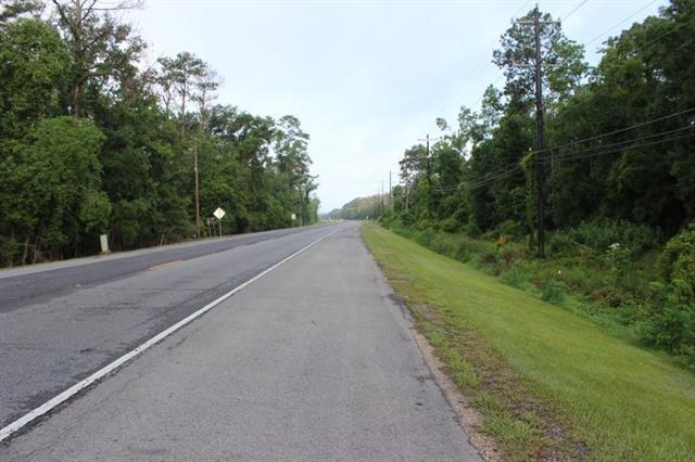 Hwy 190 Road, Albany, Louisiana image 1