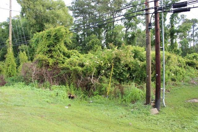 Hwy 190 Road, Albany, Louisiana image 6