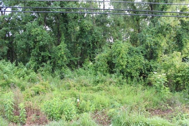 Hwy 190 Road, Albany, Louisiana image 7
