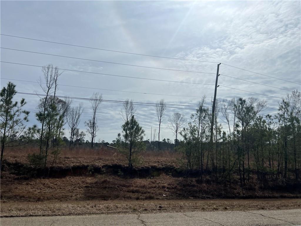 16 Highway, Amite, Louisiana image 1