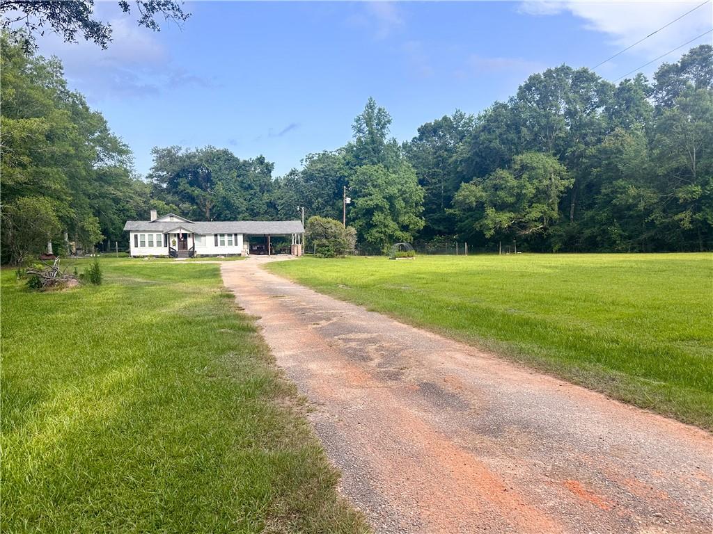 23250 Highway 436 Highway, Angie, Louisiana image 2