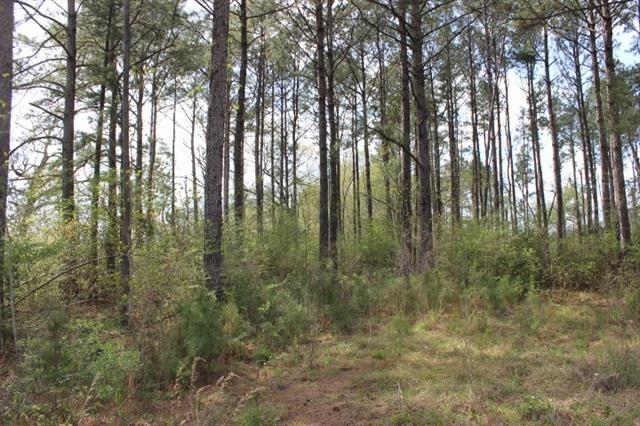 Lot 4-A Coates Road, Springfield, Louisiana image 8