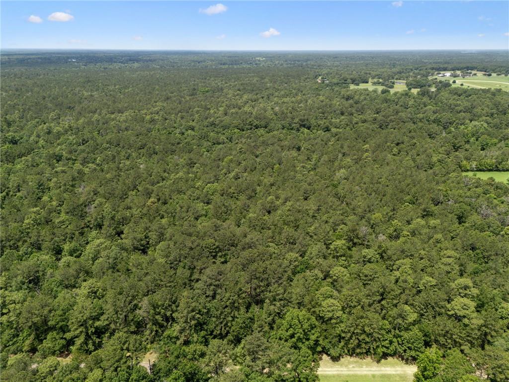 25.64 Acres Dreamland Court, Folsom, Louisiana image 10