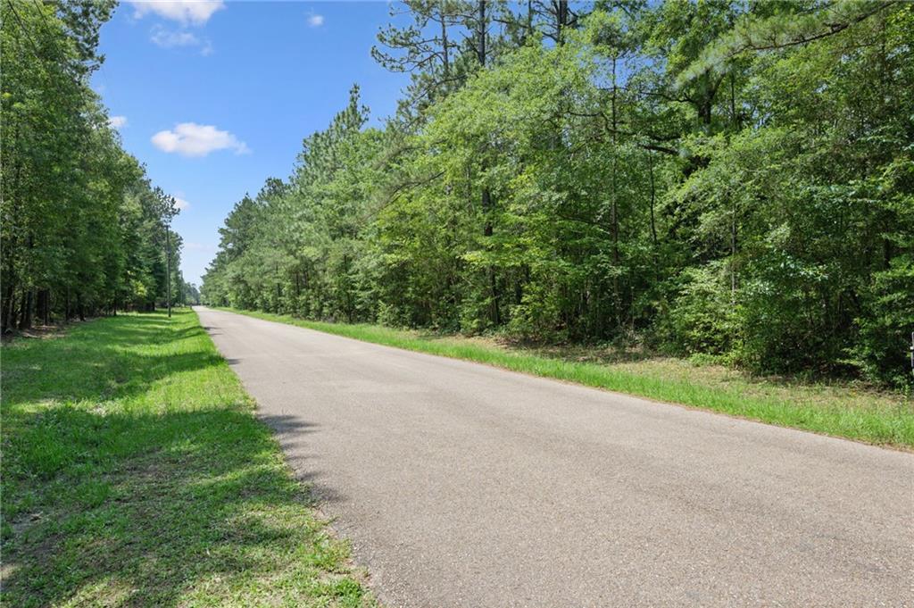 25.64 Acres Dreamland Court, Folsom, Louisiana image 2