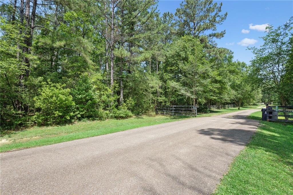 25.64 Acres Dreamland Court, Folsom, Louisiana image 3