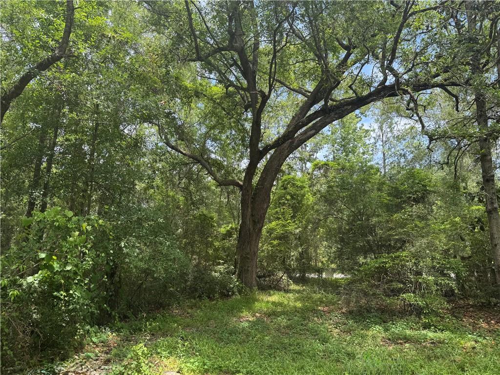 27060 Pichon Road, Lacombe, Louisiana image 4