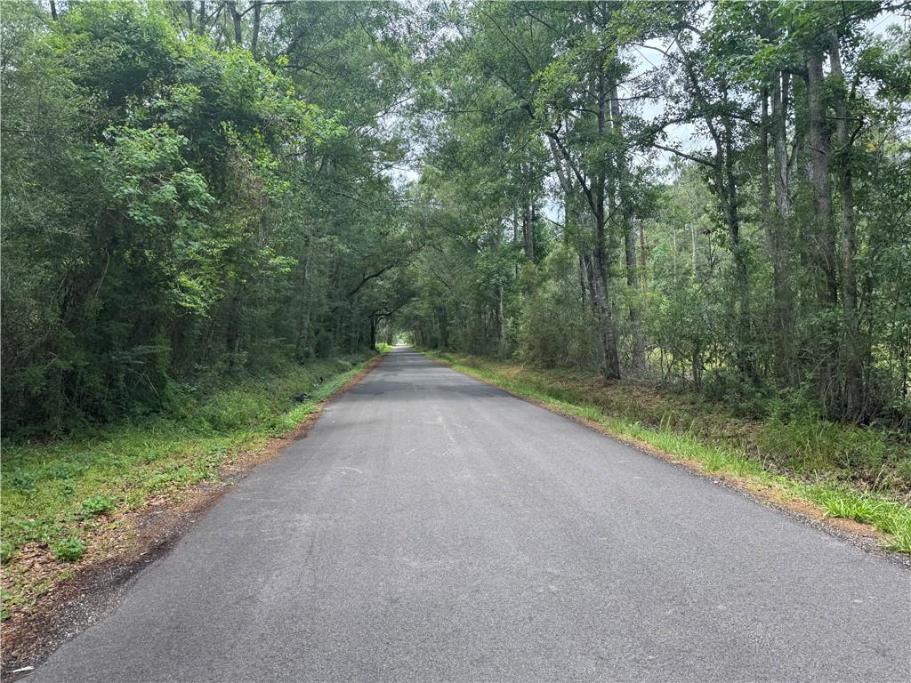 27060 Pichon Road, Lacombe, Louisiana image 6