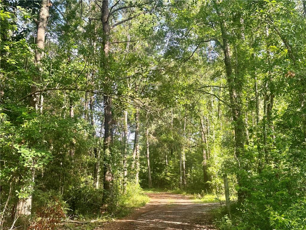 Harry Lemons Road, Mandeville, Louisiana image 2