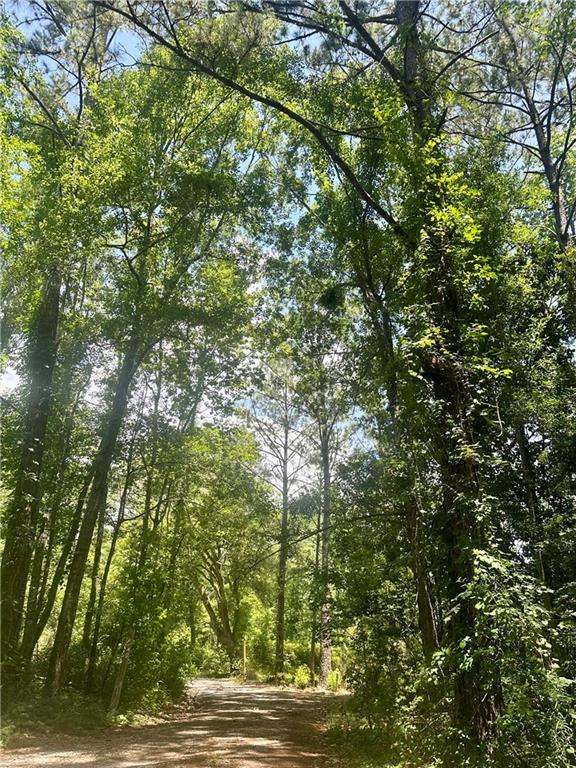 Harry Lemons Road, Mandeville, Louisiana image 3