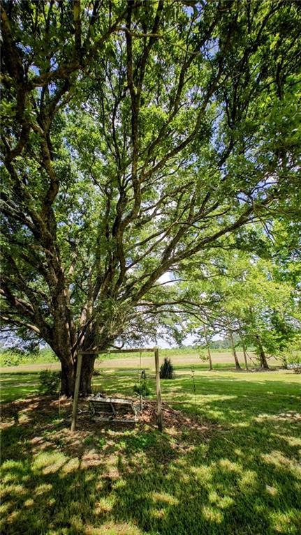 34261 N Wesley Alford Street, Mount Hermon, Louisiana image 11