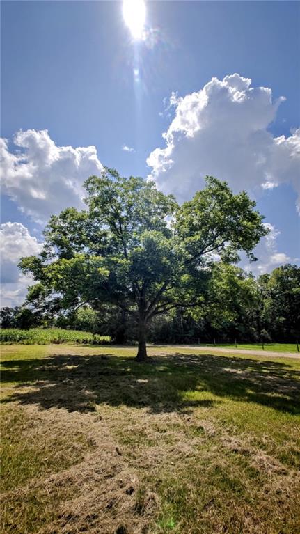34261 N Wesley Alford Street, Mount Hermon, Louisiana image 20