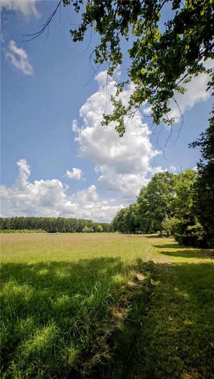 34261 N Wesley Alford Street, Mount Hermon, Louisiana image 22