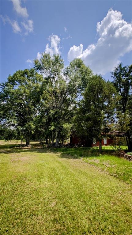 34261 N Wesley Alford Street, Mount Hermon, Louisiana image 6