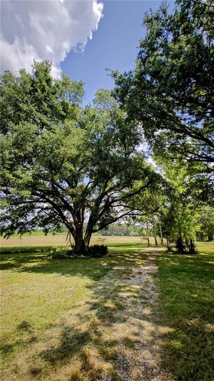 34261 N Wesley Alford Street, Mount Hermon, Louisiana image 7