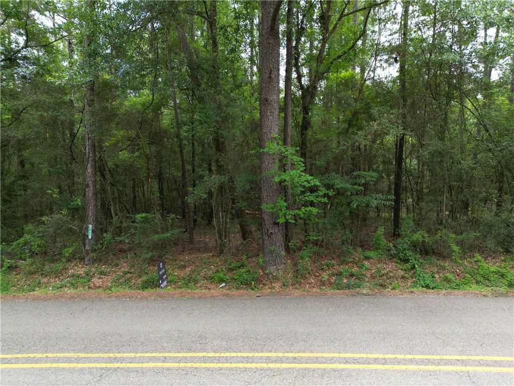 21448 Pat Obrien Road, Covington, Louisiana image 3