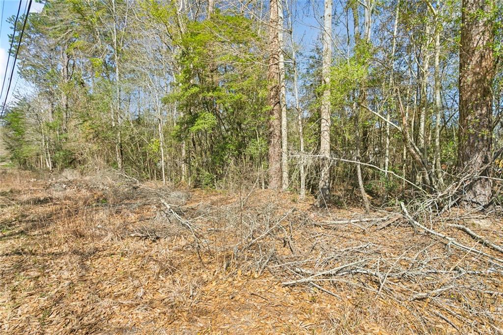 Lot 6&7 Magnolia Street, Folsom, Louisiana image 3