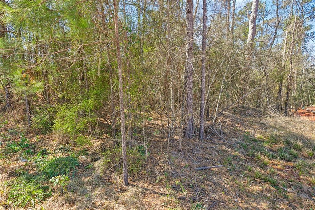 Lot 6&7 Magnolia Street, Folsom, Louisiana image 6