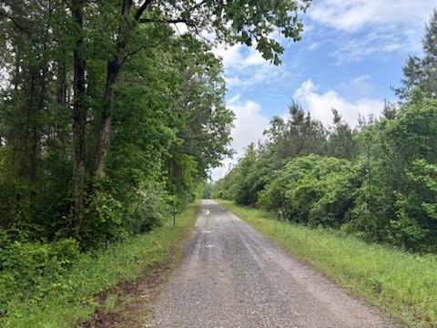 969-999 Loyd Whitaker Road, Shongaloo, Louisiana image 2