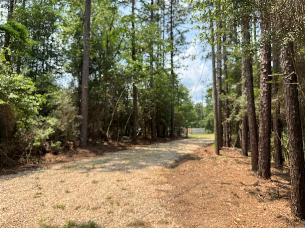 68278 Will Houlton Road, Kentwood, Louisiana image 2