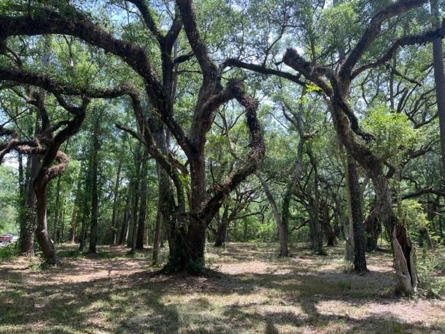 Louisville Street, Lacombe, Louisiana image 1