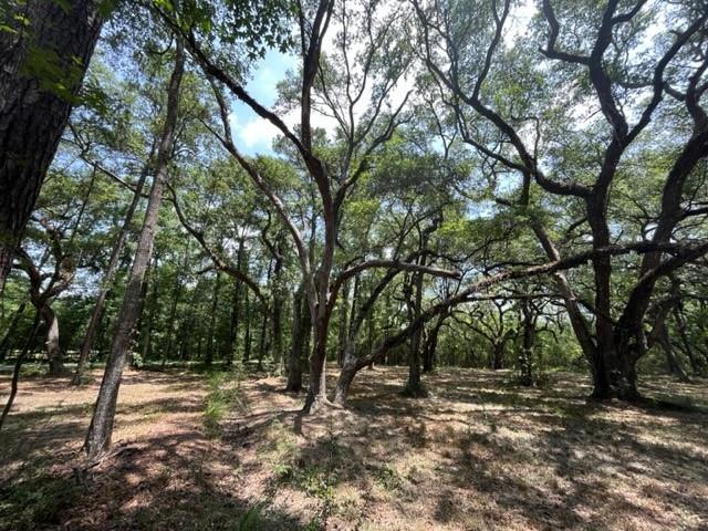 Louisville Street, Lacombe, Louisiana image 11