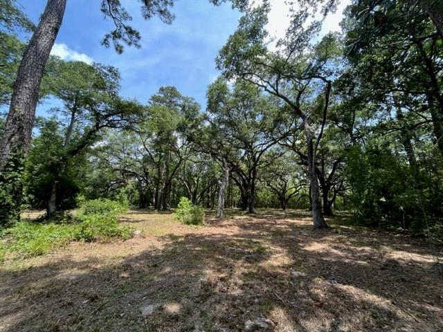 Louisville Street, Lacombe, Louisiana image 12
