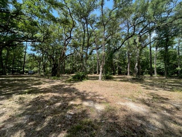 Louisville Street, Lacombe, Louisiana image 15