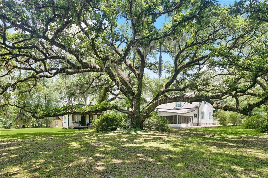 39267 Z Oaks Lane, Ponchatoula, Louisiana image 29