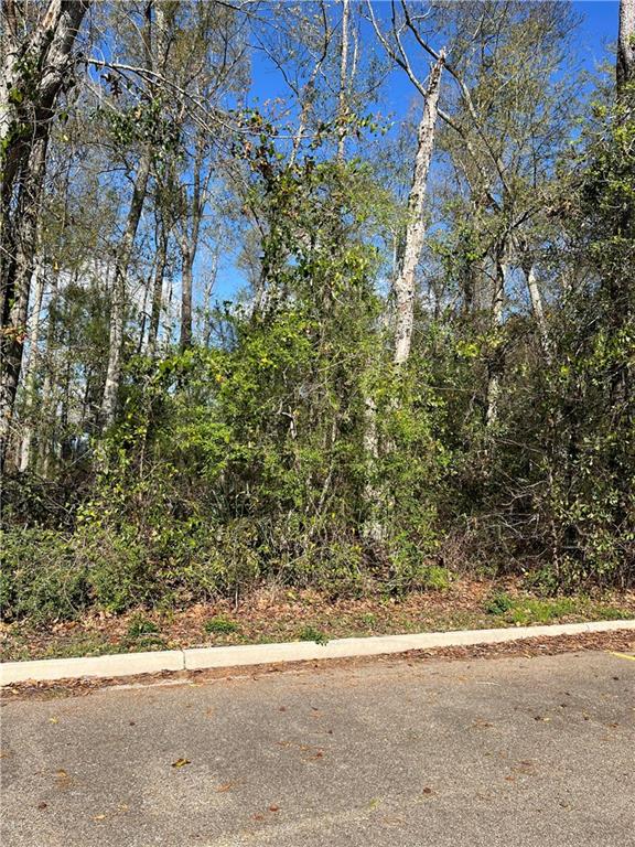 General Pershing Street, Mandeville, Louisiana image 2
