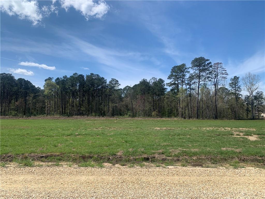 24755 Lot A-3 442 Highway, Independence, Louisiana image 2