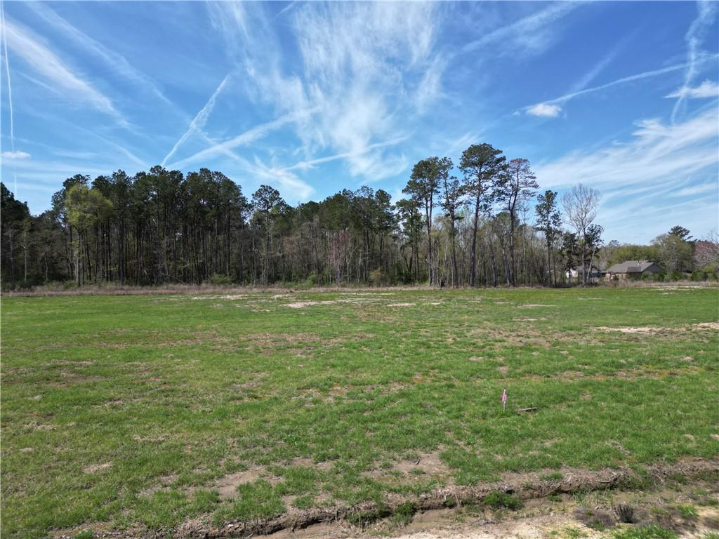 24755 Lot A-4 442 Highway, Independence, Louisiana image 1