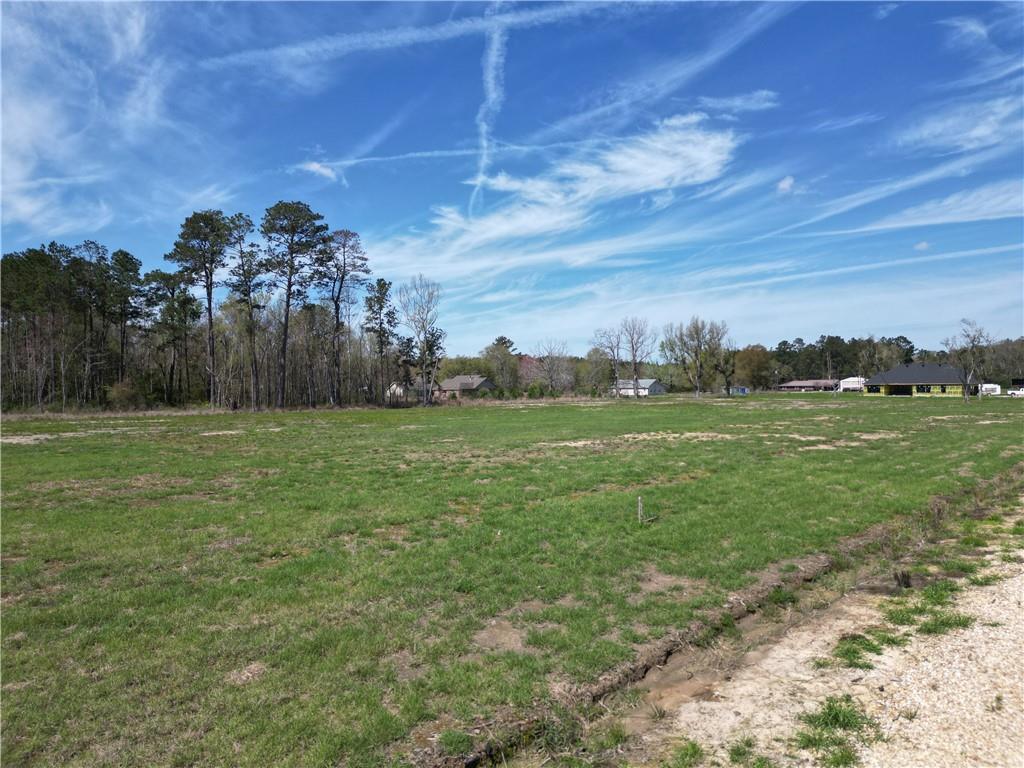 24755 Lot A-4 442 Highway, Independence, Louisiana image 2