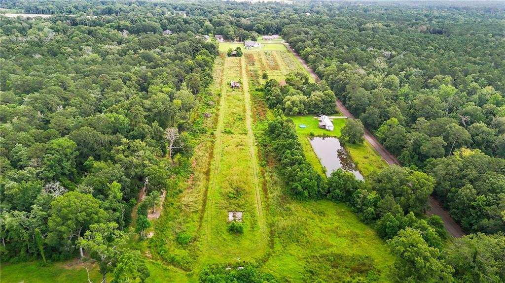 16.25 Acres Lees Landing Road, Ponchatoula, Louisiana image 1