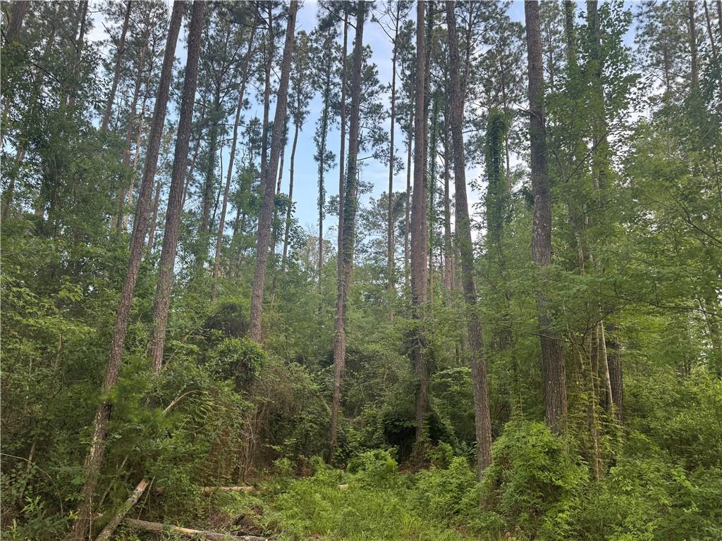Russell Town Road, Roseland, Louisiana image 5