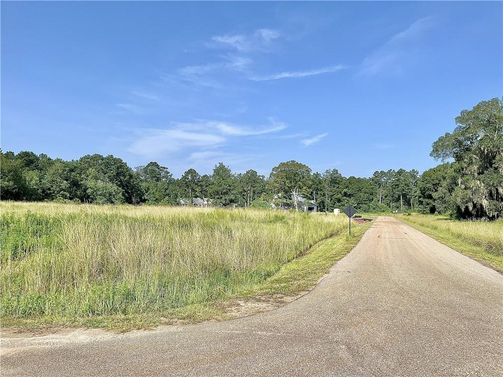 Goldentop Lot #20 Drive, Covington, Louisiana image 1