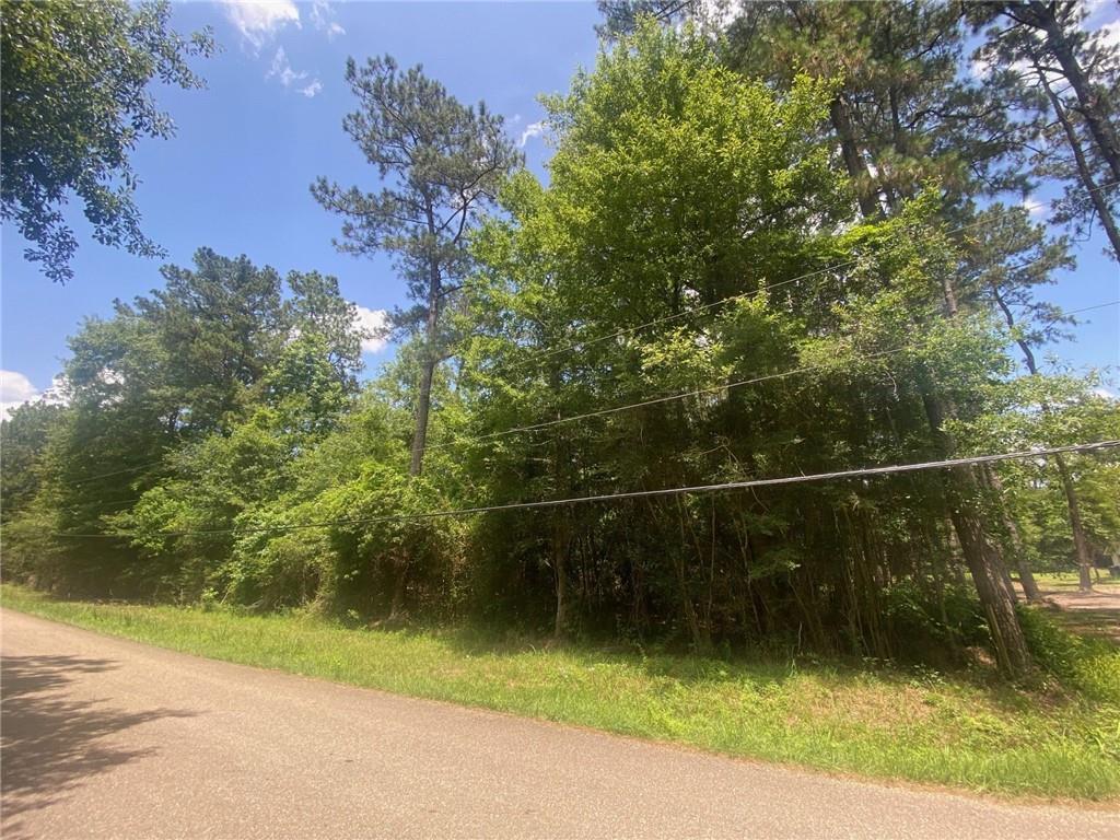 Jessie Hyatt Road, Covington, Louisiana image 2