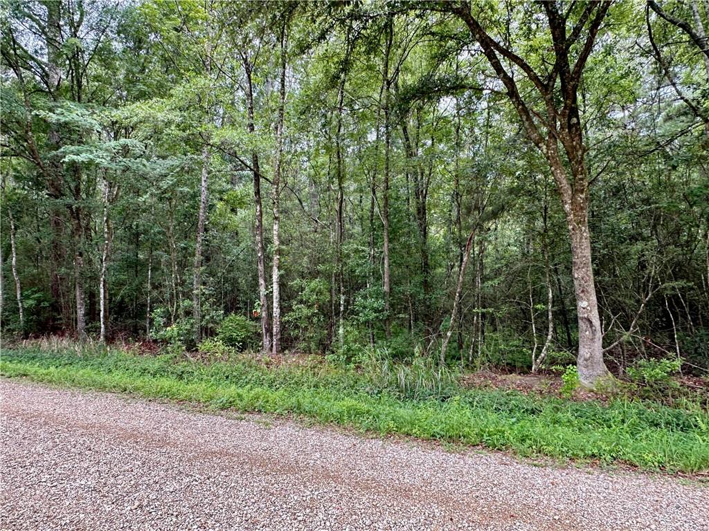 Lot 5 Par Street, Abita Springs, Louisiana image 3