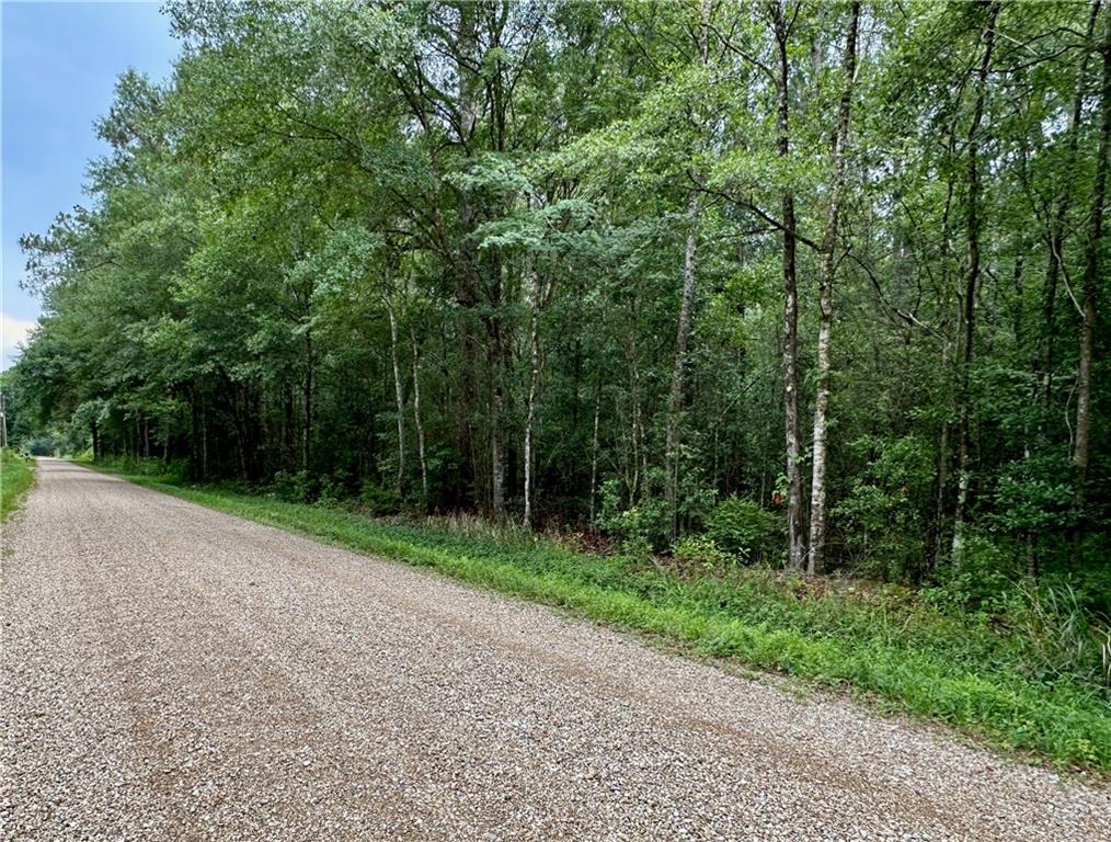 Lot 5 Par Street, Abita Springs, Louisiana image 4