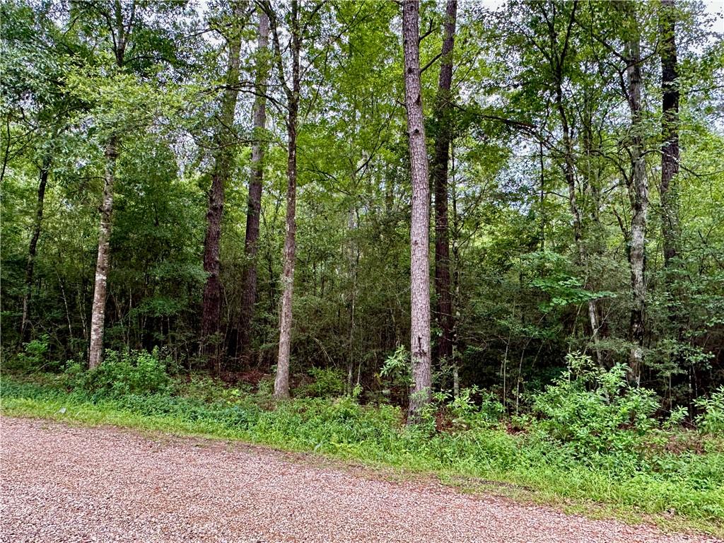 Lot 3 Par Street, Abita Springs, Louisiana image 2